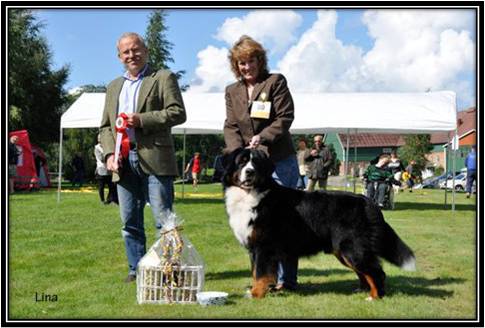 Dragongrdens Kennel